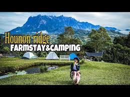 Camping di kawasan kundasang memang AWESOME seperti berada di newzealand