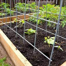 There are umpteen diy pea trellis ideas to help you out when you are planning to make your own garden trellis. 10 Diy Garden Trellises That Cost Less Than 20