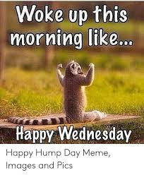 Save and share your meme collection! Happy Haggis This Can Only Mean 1 Thing Its Thursday Tommorow You Can Book Your Collection Or Delivery Slot Now Just Message Us To Secure Your Time Happy Wednesday Xx Facebook