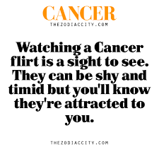 You might, therefore, find her scrapbooking and making her most gemini might seem like a good match for the cancer woman, at least at first. Image About Astrology In Me By Private User On We Heart It