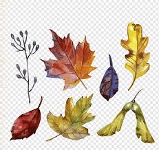 This listing is for the instant digital download. Leaf Colored Autumn Leaves Watercolor Painting Watercolor Leaves Maple Leaf Png Pngwing