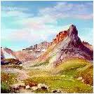 PSA Signature Gallery