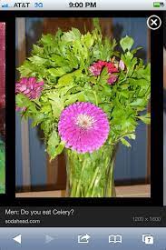 Pin On Celery And Centerpieces