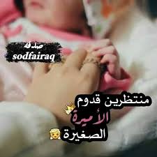 أغرب وأعجب كائنات حية لم يشاهدها معظمنا من قبل. ØµÙˆØ± Ø­ÙˆØ§Ù…Ù„ Teflylife