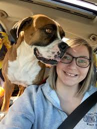 My beautiful lolly is 11 next month 😍 I think she still looks so young ❤️ 