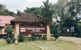 Taman negara kelantan, kuala koh. Parque Nacional Taman Negara Todo Lo Que Necesitas Saber Un Poco De Sur
