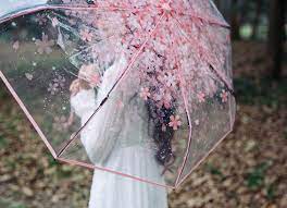 Pin By Swasti On Wish List Cherry Blossom Print Cherry Blossom Blossom
