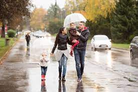 Share this story, choose your platform! Things To Do On A Rainy Day In Sarasota