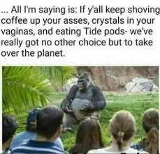 Planet Of The Apes Meme By Peebee Memedroid