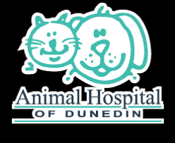 We hope that we can continue to offer you and your pets the best care possible. Veterinarian In Dunedin Fl Animal Hospital Of Dunedin