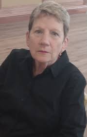 Hudson Library book sales see volunteers going above and beyond