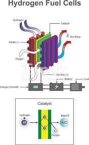 This is a list of the 118 chemical elements which have been identified as of 2021. Hydrogen Is A Chemical Element With Chemical Symbol H And Atomic Hydrogen Fuel Cell Hydrogen Fuel Hydrogen Generator