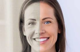 32nd Annual This Is Us Almanac by Tryon Daily Bulletin