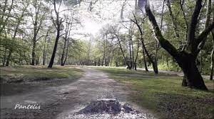 Check spelling or type a new query. Serres Koilada Agiwn Anargyrwn 11 4 2019 Youtube