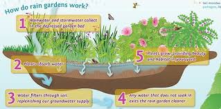 White sand can cost up to $1 a pound. Green Stormwater Interpretive Signs For Carolina Clear Rain Garden Stormwater River Rock Landscaping