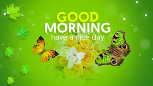 Good morning flowers images hd download. Good Morning Greetings Good Morning Whats App Status Good Morning