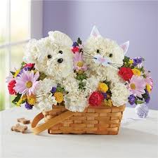 Their website is easy to search, and they offer regular discounts and loyalty programs. 1 800 Flowers Paw Some Pals Leesburg Fl