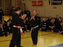 Qwan ki do,kung fu, arti marziali, difesa personale, teakwondo, karate, judo, ju jitsu. 6 8 Mai 2016 Stagiu Qwan Ki Do Cu Thay Chuong Mon Romdragon Sanatate Securitate Calitate