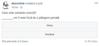 Ar trebui să fiți autentificat pentru a vota. Orice Om Ii Este FricÄƒ Pe Cuvinte Are PicÄƒ Foaie Verde De UrzicÄƒ Asta Este VioricÄƒ