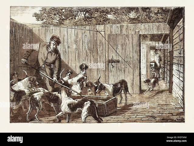 Fox Hunting, Breakfast Time at the Kennels, Hunt, Engraving 1876, UK, Britain, British, Europe, United Kingdom, Great Britain, European Stock Photo - Alamy