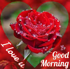 Image Result For Good Night Gifs Animated Sweet Good Morning Images Good Morning Images Morning Images