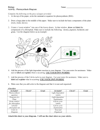 But green plants and algae do not. Photosynthesis Diagram