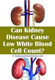 Pin On Kidney Disease Medical