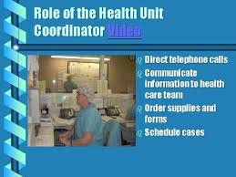 · ensures that documents are properly labeled, posted and contain current . Roles And Responsibilities Of Health Care Team Describe