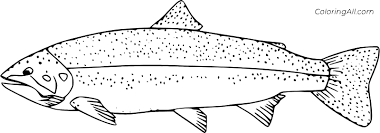 Each printable highlights a word that starts. Trout Coloring Pages Coloringall