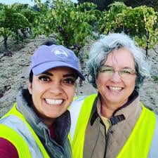 I've been sourcing Pinot Noir from the Lakeview Vineyard in the Green  Valley of RRV since I started making wine in 2021. It still amazes me that  a bottle of wine starts