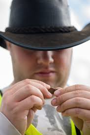 Finds continue at Laurel's Dinosaur Park