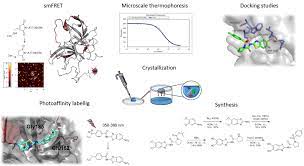 Protease is an enzyme which breaks down proteins and peptides. Dengue Virus Protease Institut Fur Pharmazeutische Und Biomedizinische Wissenschaften Ipbw