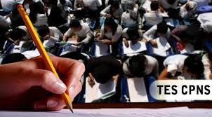 Hasil gambar untuk CPNS