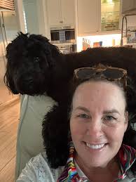 Looking for goldendoodle in Columbus, GA area