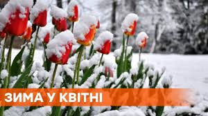 Последние видеоролики со всего интернет собраны в одном месте. Fakty Ictv Vypusk 15 45 27 04 2021 Youtube