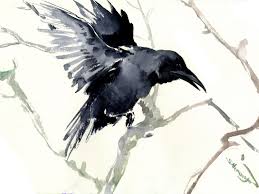 Black And White Raven Images Flying Raven Artwork Black And White Art Raven Original Watercolor Painting Crow Lover Raven Lover Rave Raven Artwork Hummingbird Artwork Watercolor Bird