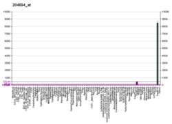 University of rochester medical center. Alpha Fetoprotein Wikipedia