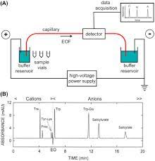 Cpd works with java, jsp, c/c++, c#, go, kotlin, ruby, swift and many more languages. Capillary Electrophoresis For The Determination Of Drugs In Biological Fluids Sciencedirect