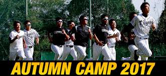 赤髪の白雪姫 | ジャンプ系壁紙・・・その他画像。。 画像 : ç§‹å­£ã‚­ãƒ£ãƒ³ãƒ—2017 é˜ªç¥žã‚¿ã‚¤ã‚¬ãƒ¼ã‚¹ å…¬å¼ã‚µã‚¤ãƒˆ