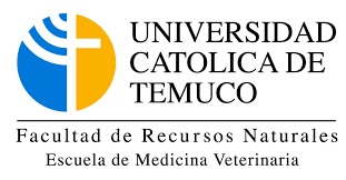 Otra, a los reglamentos, presentados en una versión refundida y actualizada para facilitar el uso y aplicación por parte de los usuarios. Vdiaz2008 Tavaca