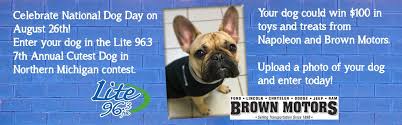 Check spelling or type a new query. 7th Annual Northern Michigan S Cutest Dog