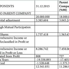 Pdf Consolidated Financial Statements
