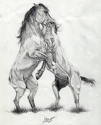 We did not find results for: Mustang Stallions Wild Horses Drawing By Olde Time Mercantile