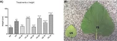 View the profiles of people named clara moraci. Influence Of Light Intensity Fertilizing And Season On The Cirsiliol Content A Chemical Marker Of Leonotis Nepetifolia Lamiaceae Peerj