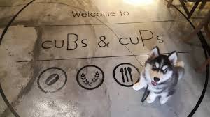 The cafe was founded by a group of koreans and owns a few resident dogs, including two the dogs are definitely the main attraction of this cafe! Cubs Cups Restaurants In Hartamas Kuala Lumpur