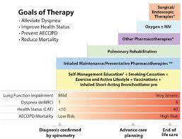 Image result for COPD Exacerbation Decision Tool