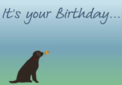 If you want to find the other picture or article about lawson e cards birthday. How Old Are You Adults E Card By Jacquie Lawson