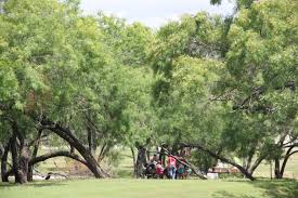 Starting may 3, 2023, travelers 18 and older need a real id card or other federally approved document such as a valid u.s. Lady Bird Johnson Park The City Of San Antonio Official City Website