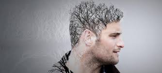 Jade Jefferson (@jade_jefferson)