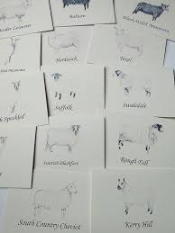 Sheep Table Name Cards A Farmer S Daughter Wedding Table Names Name Place Cards Wedding Table Name Cards